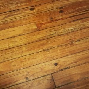 Meet your Posher, Thomas